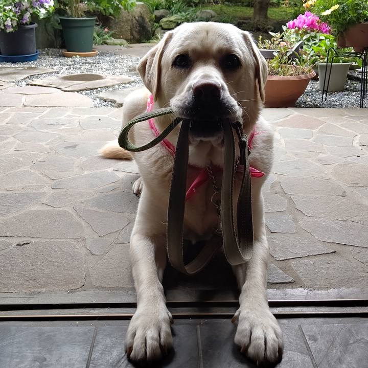 2b4a41ff 5a29 469f 9858 fa883c0cc59a 1590150578555