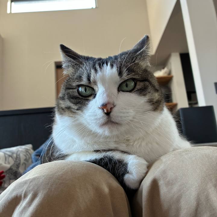 2b4a7c3a f55f 4503 9cc8 7e9d842374cc 1768780963136