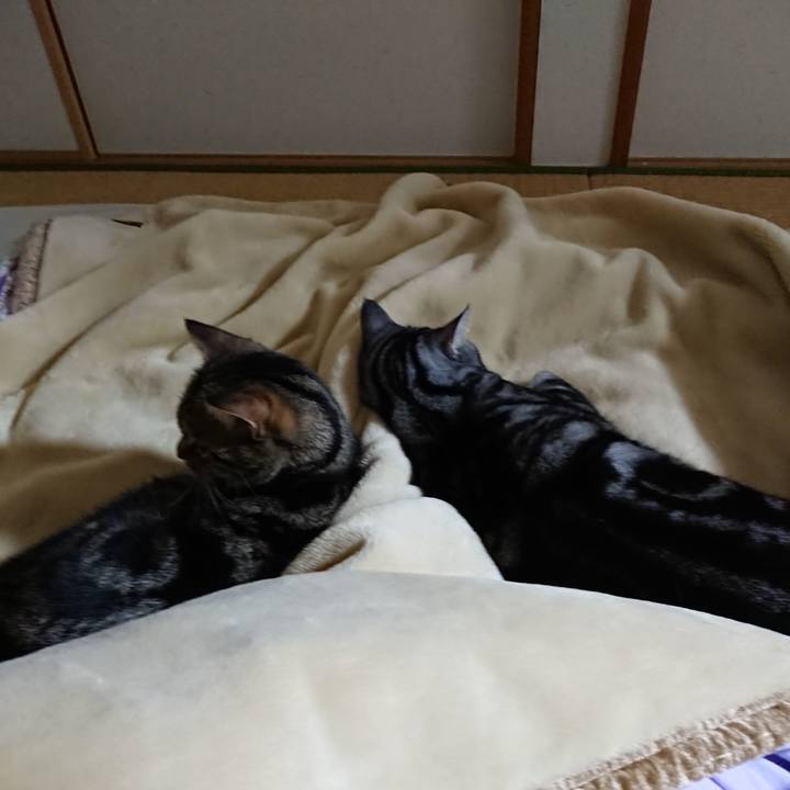 2b4a7e50 79f8 4fbb 9fba db73b0e4dd41 1580416403732