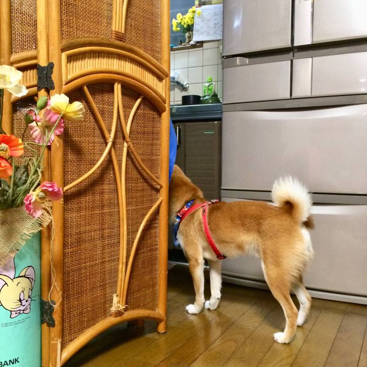 2b4a7e74 1500 4595 8db3 d53aaf9b9f1a 1511695758109