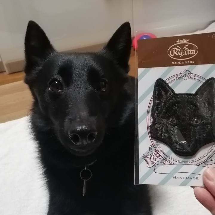 2b4a91bc fb0a 47c6 9562 0905ffb74103 1613562510879