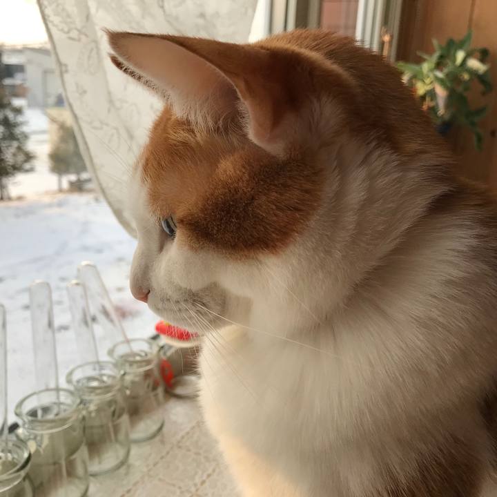 2b4a9407 2215 41ce be4c 298c441e5bde 1577661113090