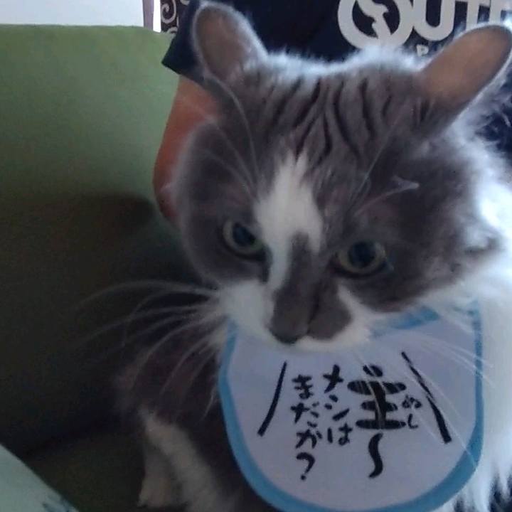 2b4a95ca a6bb 4ef5 b96e 9fb1cb5a155b 1689560055542