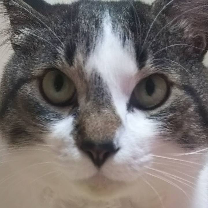 2b4ae94f 444a 4fd4 ab6a 9657e07e6db8 1612275475748