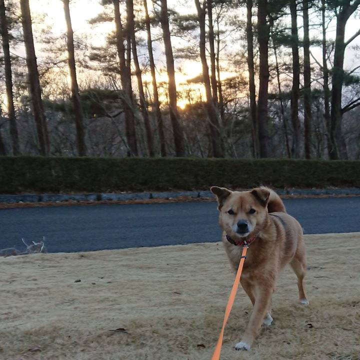 2b4b0113 5b15 4a1c 8990 8a4cd5326563 1639748621420