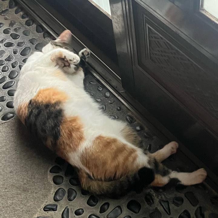 2b4b3363 bc5a 4168 a716 f1c23376276f 1755067554097