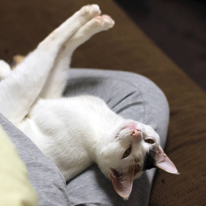 2b4b3bdb adac 47f0 b841 13373d2c6015 1556029925475