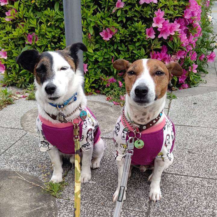 2b4b3c04 5e02 4115 9caf bd3ad1920ca4 1682290267277