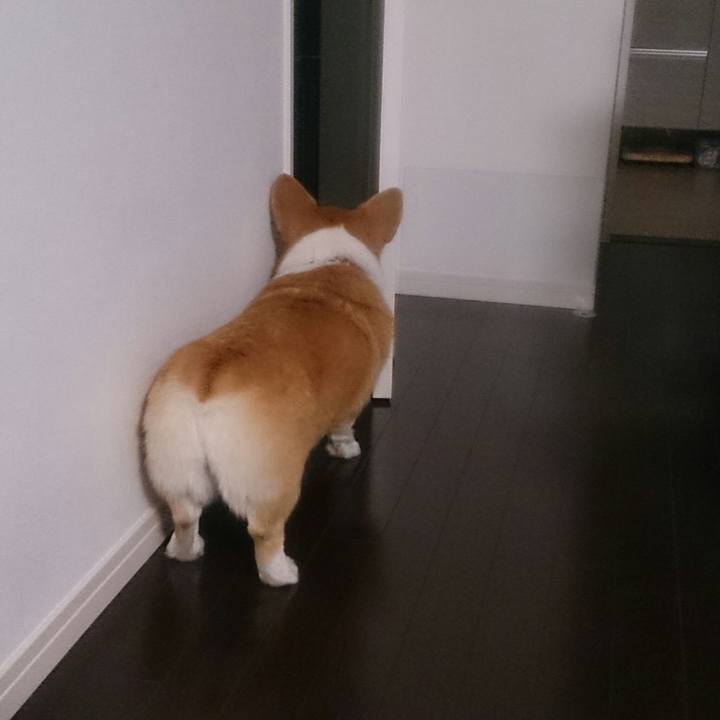 2b4b450a 6bf6 41dc aecb fe9aea1dec72 1515584951198