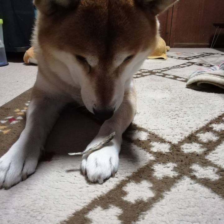 2b4bc856 9e8b 4c22 a4f4 73d358cf5a9b 1608773060688