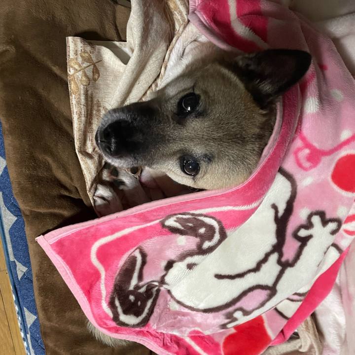 2b4bda5a 09df 49a9 a1d7 b9a7c27ca8bf 1704457759809