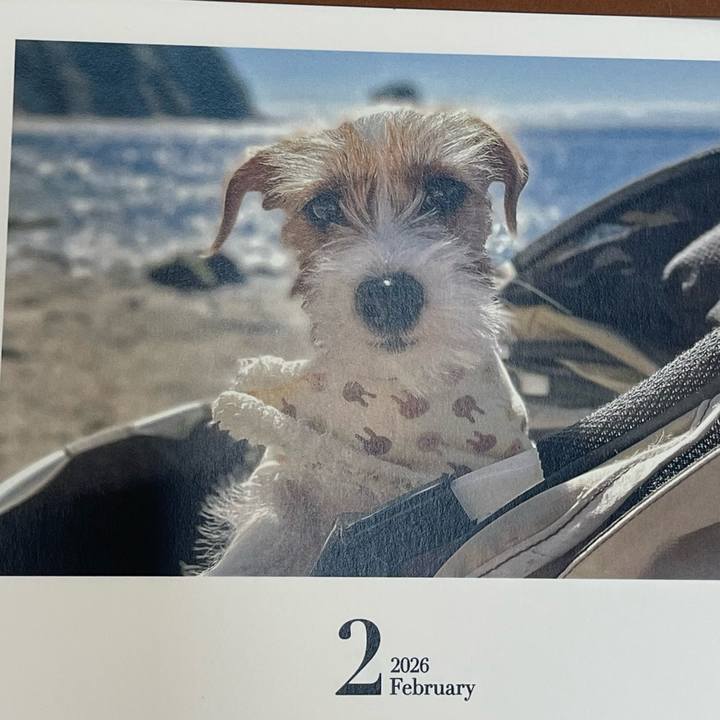 2b4c50b0 e46a 4642 8ca3 56c79b66a2ec 1769913043877