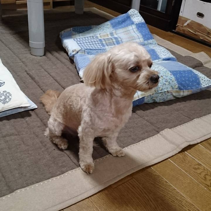 2b4c7400 ebe0 4ddd b1a8 b32109799a5a 1565477474135