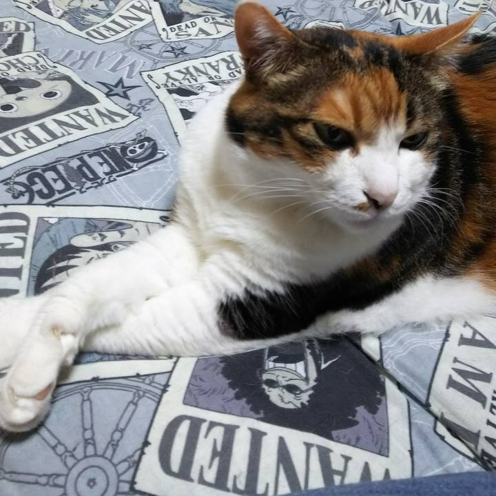 2b4c74fe 1794 4647 911c ffa9358836fe 1532179789400