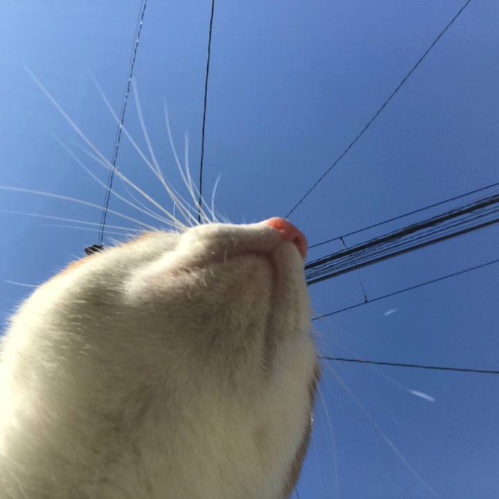 2b4c80b3 97a5 4bb7 8f0e dd88e7509a48 1508200024895