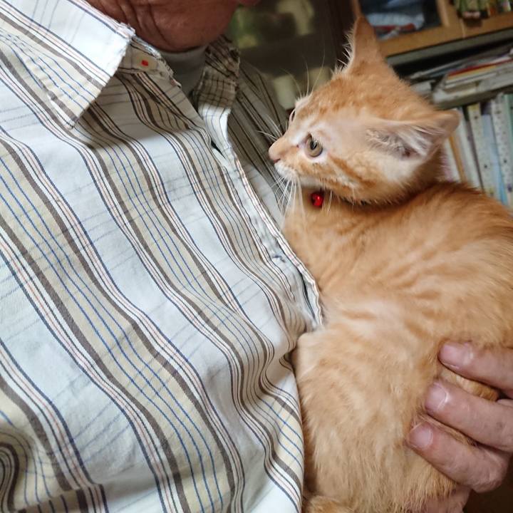 2b4c999b 0e8a 4146 be09 889df43047e1 1630497177839