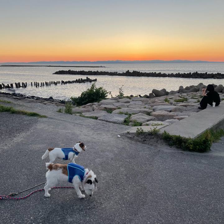 2b4cbabd 0a0f 4572 9175 598d2f62c405 1722509184001