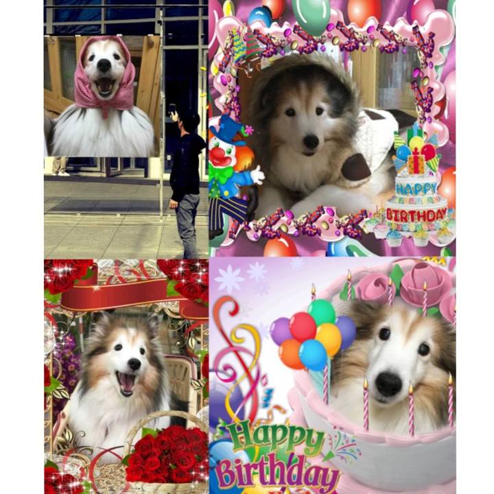 2b4cdbd4 6e3d 4ca9 a5c7 25367b6ac845 1556172380038