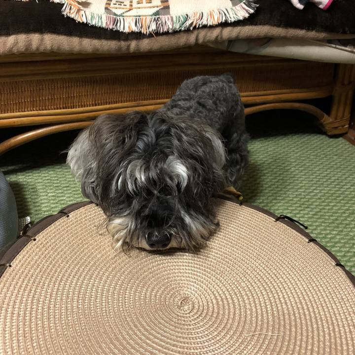 2b4d0d30 9160 40e9 9625 8b4f3e2c194e 1531919866862