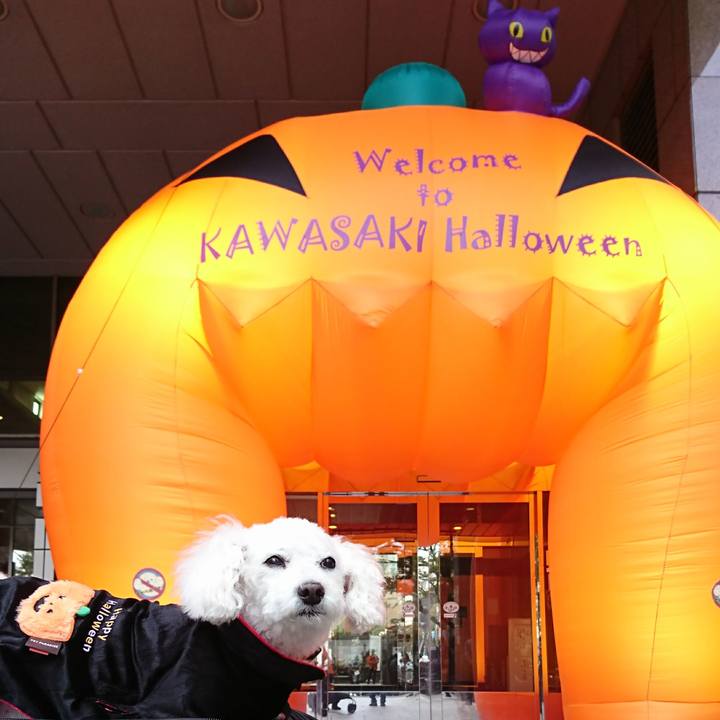 2b4d2a59 957c 4b99 b0a9 50fd1d8330fe 1572160152241