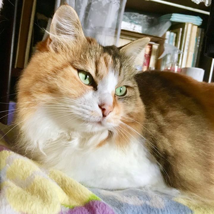 2b4d4fed 2a58 4535 aa15 b402f9d22376 1562998848887