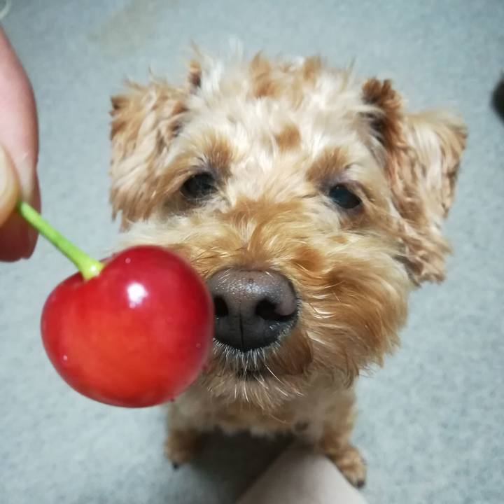 2b4d614f c3ea 451f b03e a6feaa993600 1562241747260