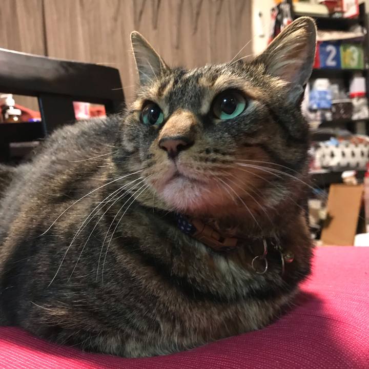 2b4d6361 ebbd 48e6 80ae be5ca6846fb1 1647951748914