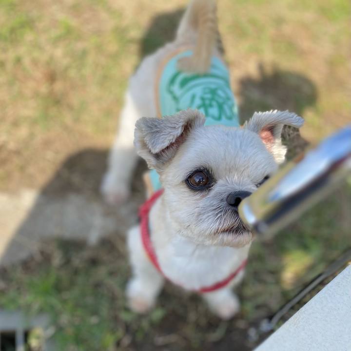 2b4d9d2f a95d 4484 9055 f85050ceee85 1636192745092