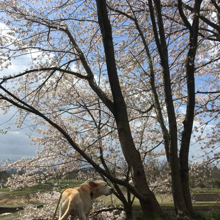 2b4da979 6822 4154 bdab 6df0af769d87 1584239085544