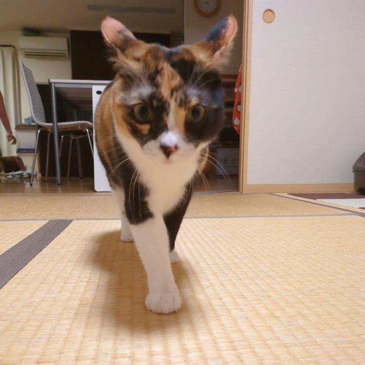 2b4dbbf0 3423 4956 8c24 5c54b0234a69 1684382568684