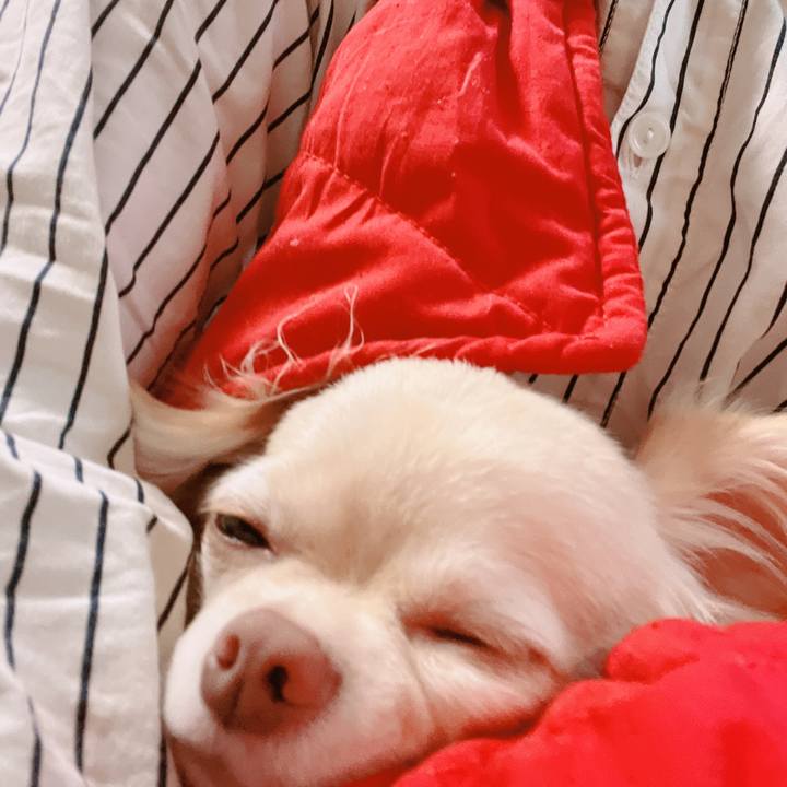 2b4decdd bb34 4127 ad4b 250f59575a8a 1662690623051