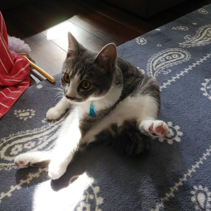 2b4e0e05 a425 4af6 9344 eb9e0ff6b2ad 1570062130710