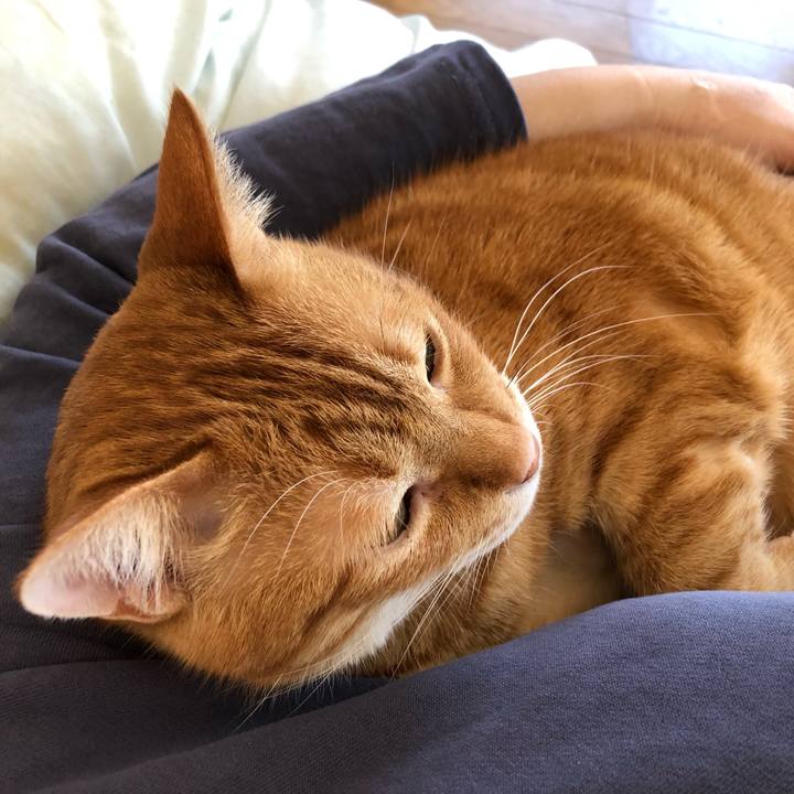 2b4e2a01 1f38 4c83 8398 de8fa8cbd8ef 1648351715816