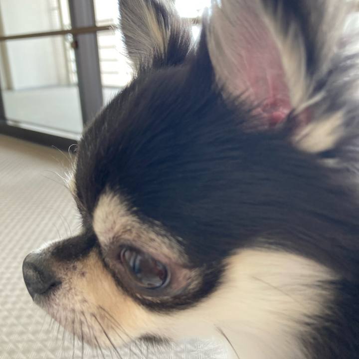 2b4e3c3a f97e 46d5 97b5 fd30493ac164 1620103941236