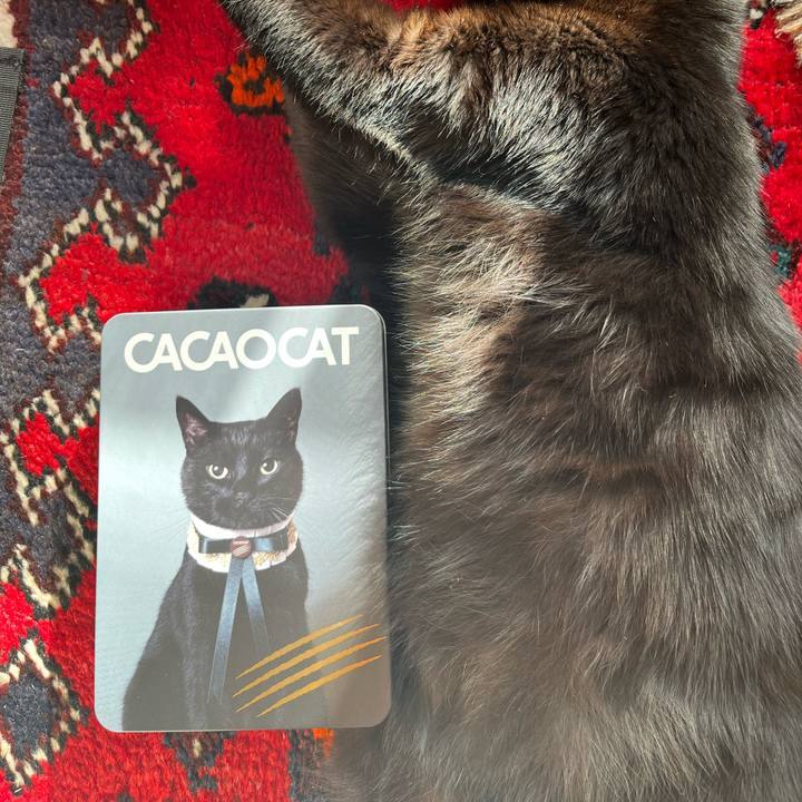 2b4e638e 35fa 475b bc34 5cbcb31a54fb 1739257384027