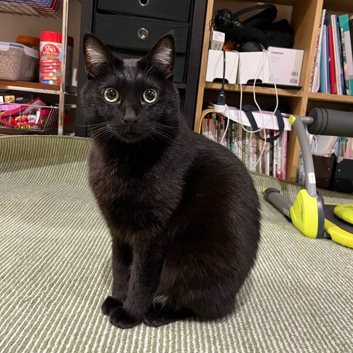 2b4e90b2 a6c8 4ca0 b36b 9814d805dcd4 1707972263616