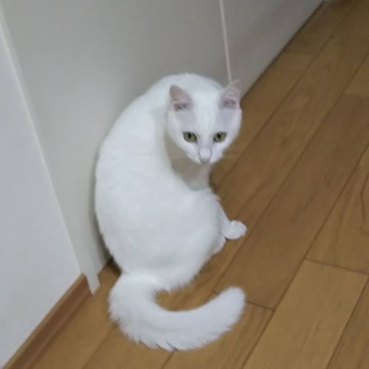 2b4e9b94 d8a0 4a18 af5e d59280ca9ff2 1628977766786