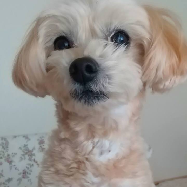 2b4e9d95 f50d 41eb a599 5671572b57f2 1582943493548