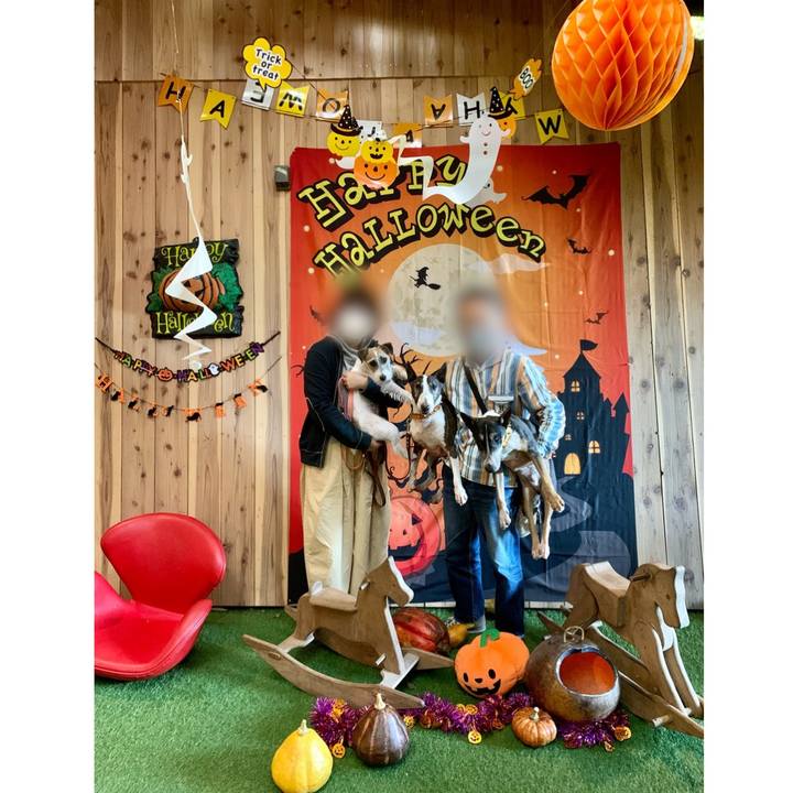 2b4ea0eb 4ba8 4726 adf3 6640c1863e9a 1604203912245