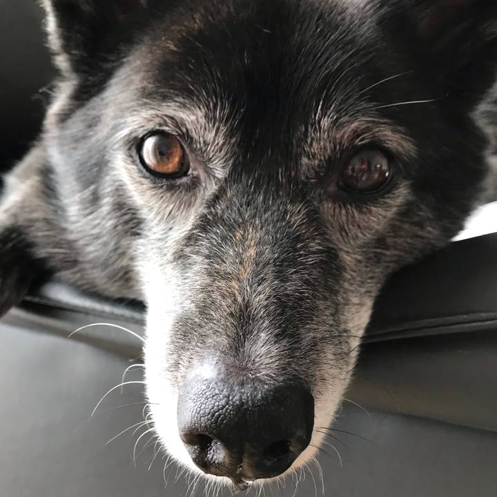 2b4ed23a 9449 4202 9f00 24284633ca58 1571104745073