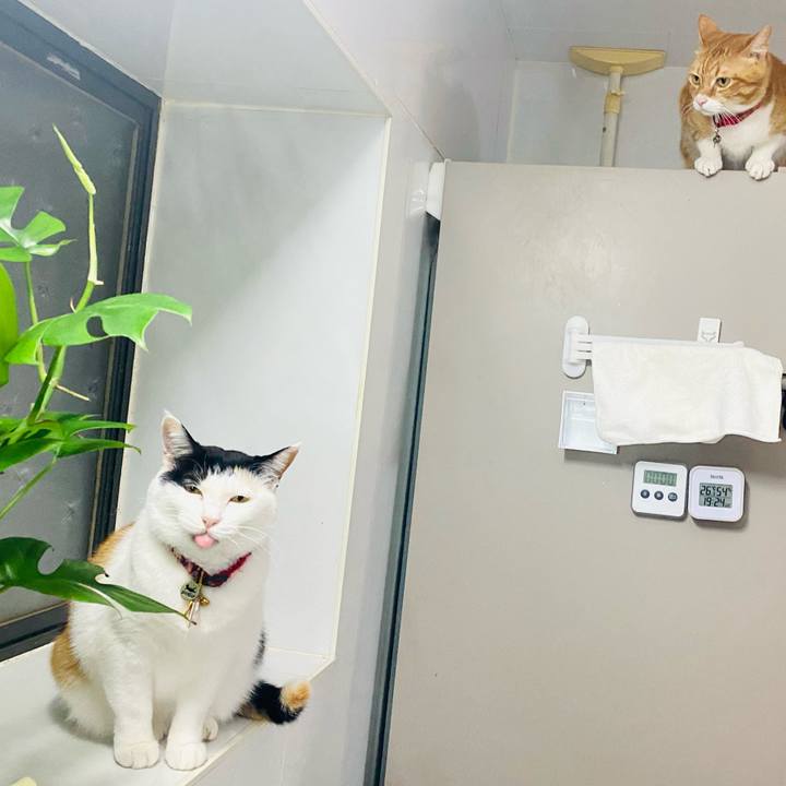 2b4edb5e 8963 4b18 a127 ceb44552fc72 1716983393153