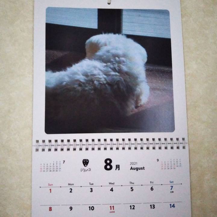 2b4f4edc 0103 4215 bf8c 760c1ff2355c 1628645781487