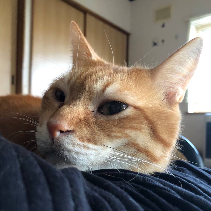 2b4f78be da40 41e6 9ea6 9f94c233d408 1664573433649