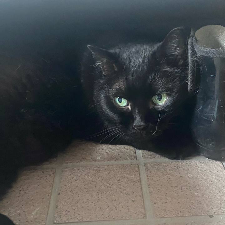 2b4fd3b1 a76f 444d 89ad dceb913e54a1 1723595875761