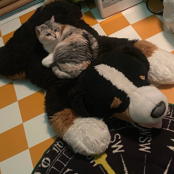 2b4fd8ef f629 4435 9398 cbbefe5f4c7c 1651179943530