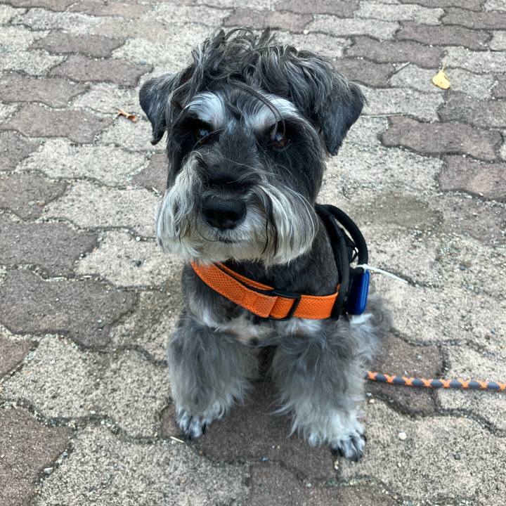 2b50004f d422 4a7a aa00 6e0e14e8b73a 1727473322862