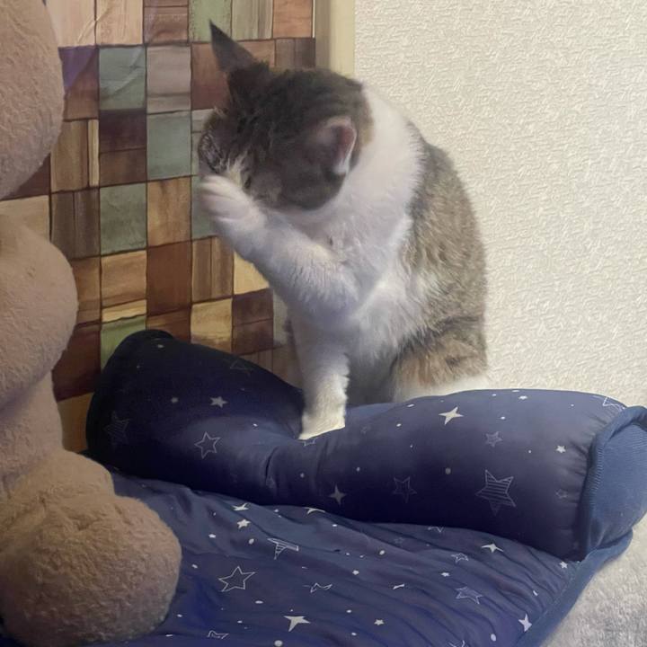 2b503ad1 ac01 48bc 9e92 d5f4b55b6d94 1629541587990