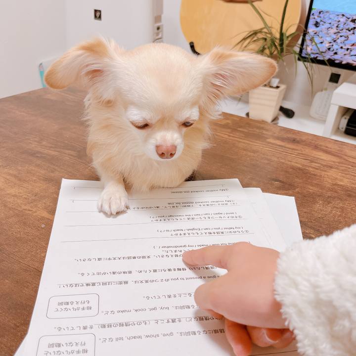 2b503f52 9ae8 4c8d 8151 e1cd7807c6f8 1670680041563