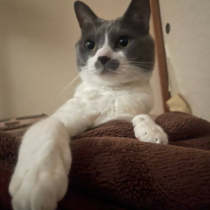 2b505aa9 340e 427d bb27 6867c663f3a5 1668644940967