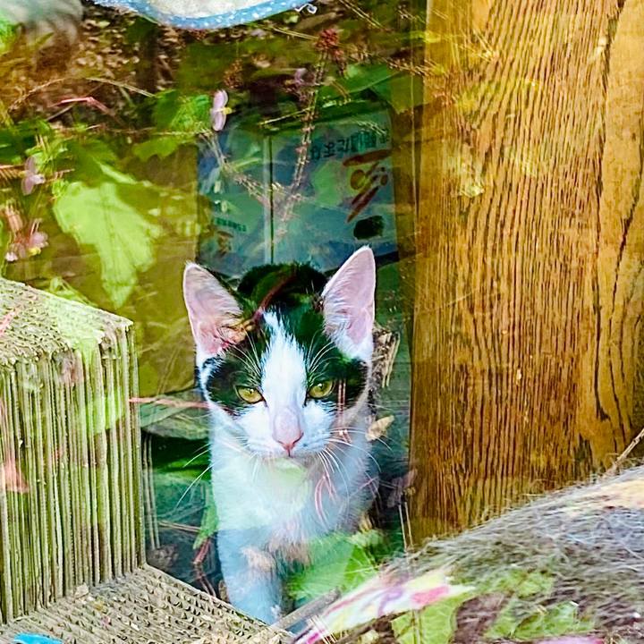 2b506b13 47c6 4e22 8cf5 ac5aa0c52706 1636275729585